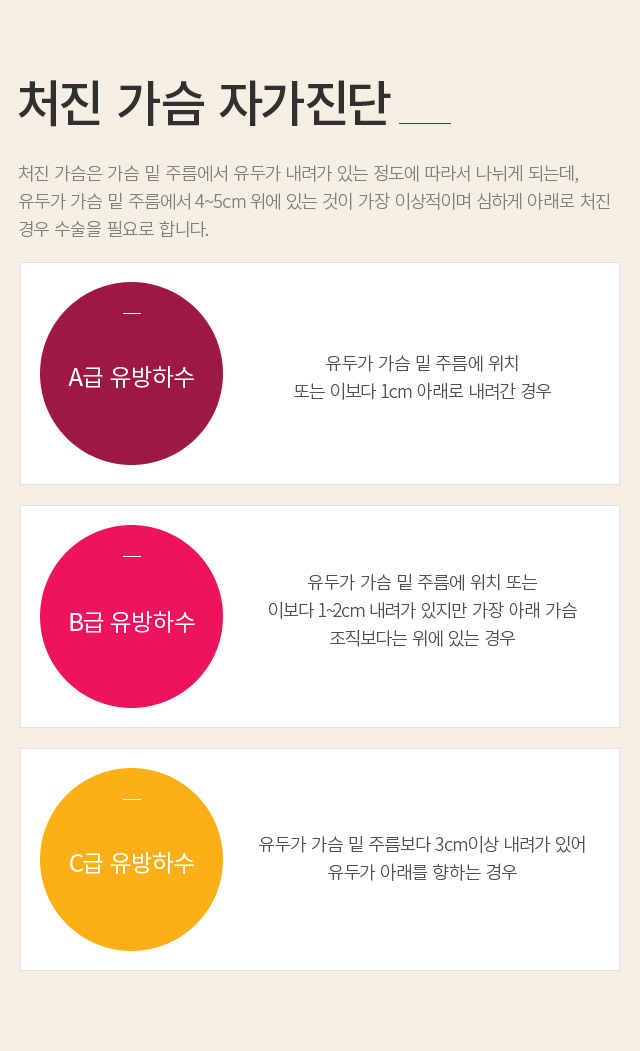 �����Ż��